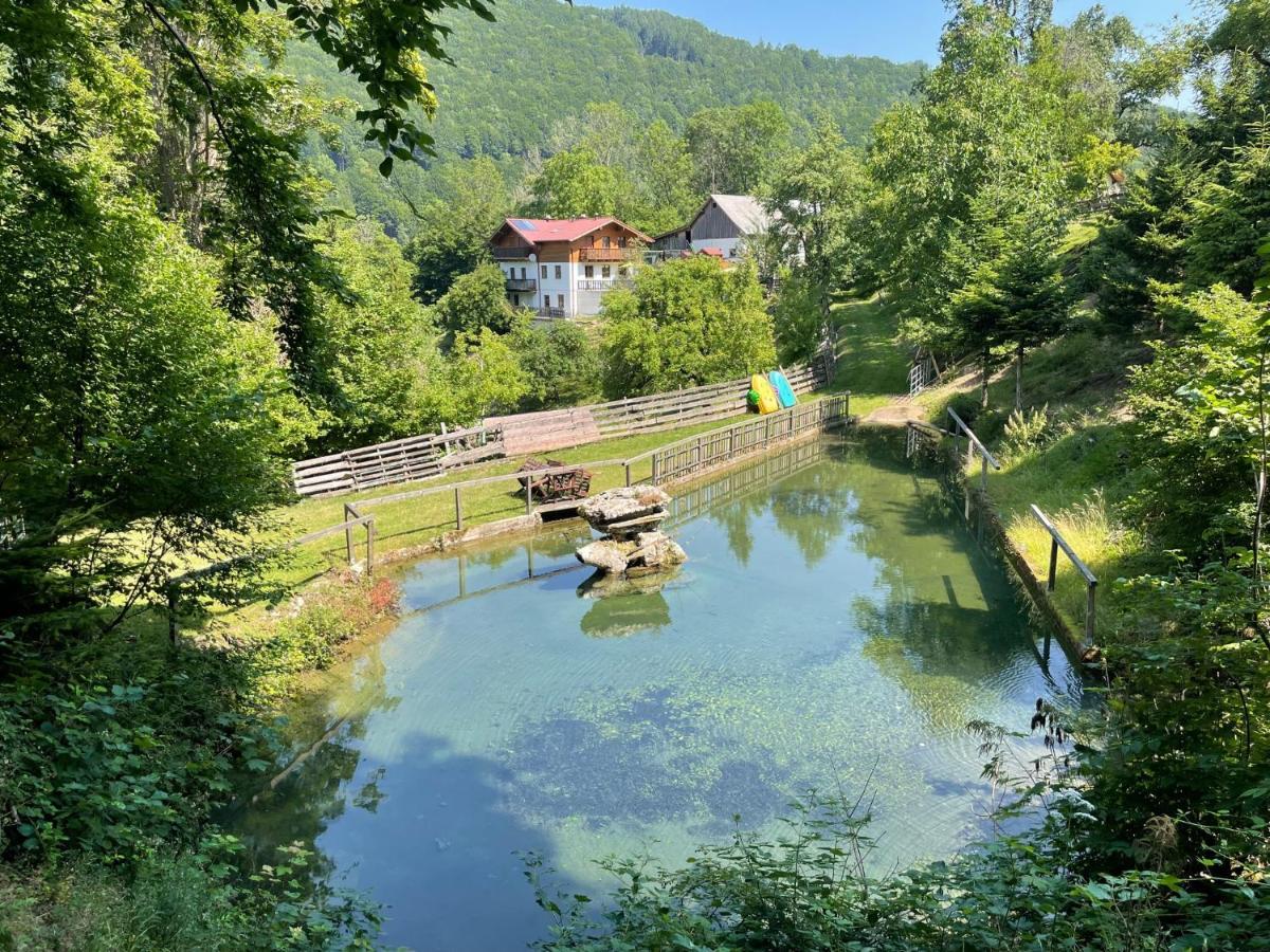 Buechlhof - App. Himmelalm Lägenhet Lilienfeld Exteriör bild