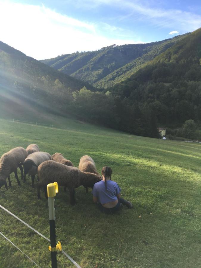 Buechlhof - App. Himmelalm Lägenhet Lilienfeld Exteriör bild