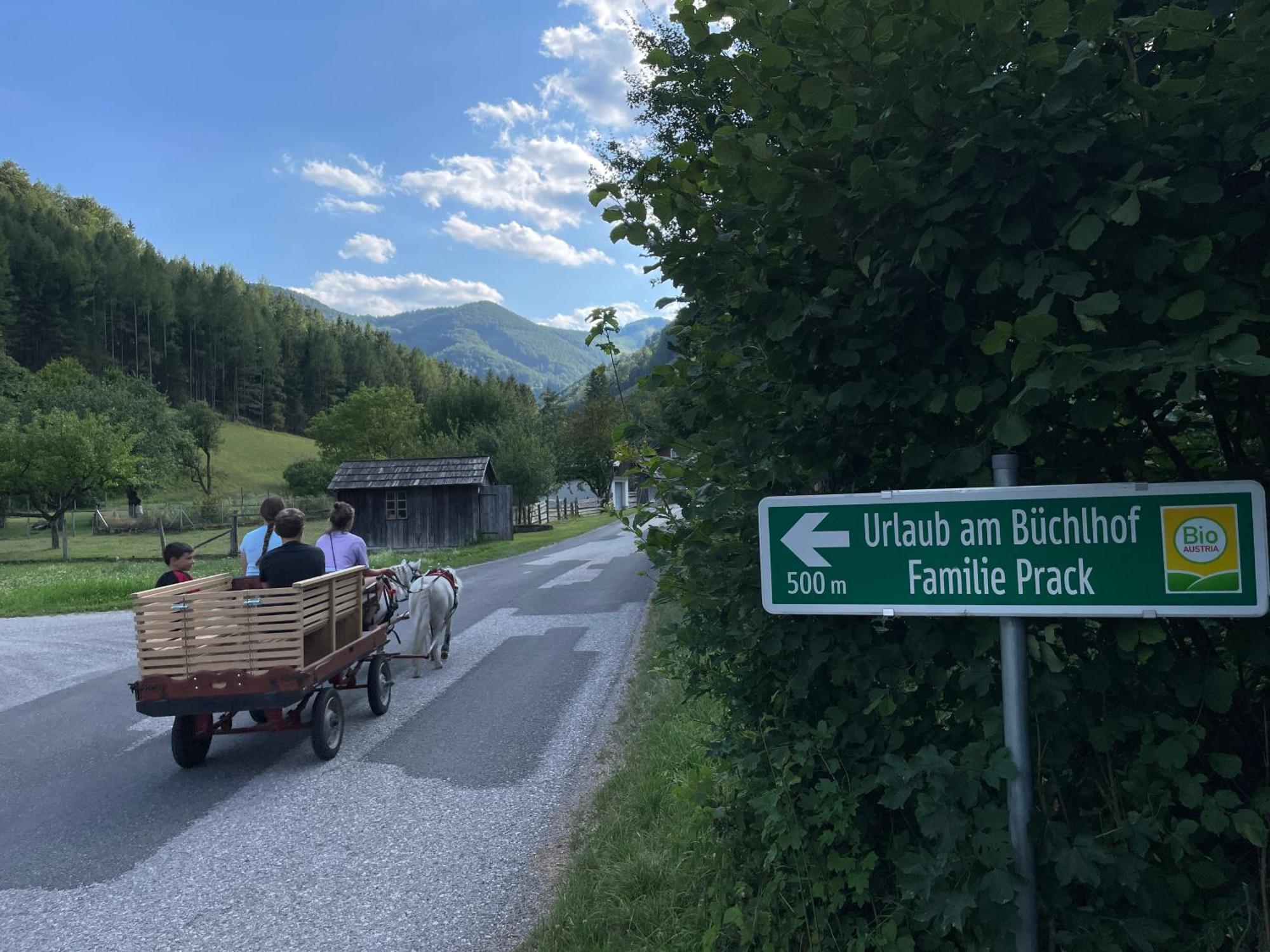 Buechlhof - App. Himmelalm Lägenhet Lilienfeld Exteriör bild