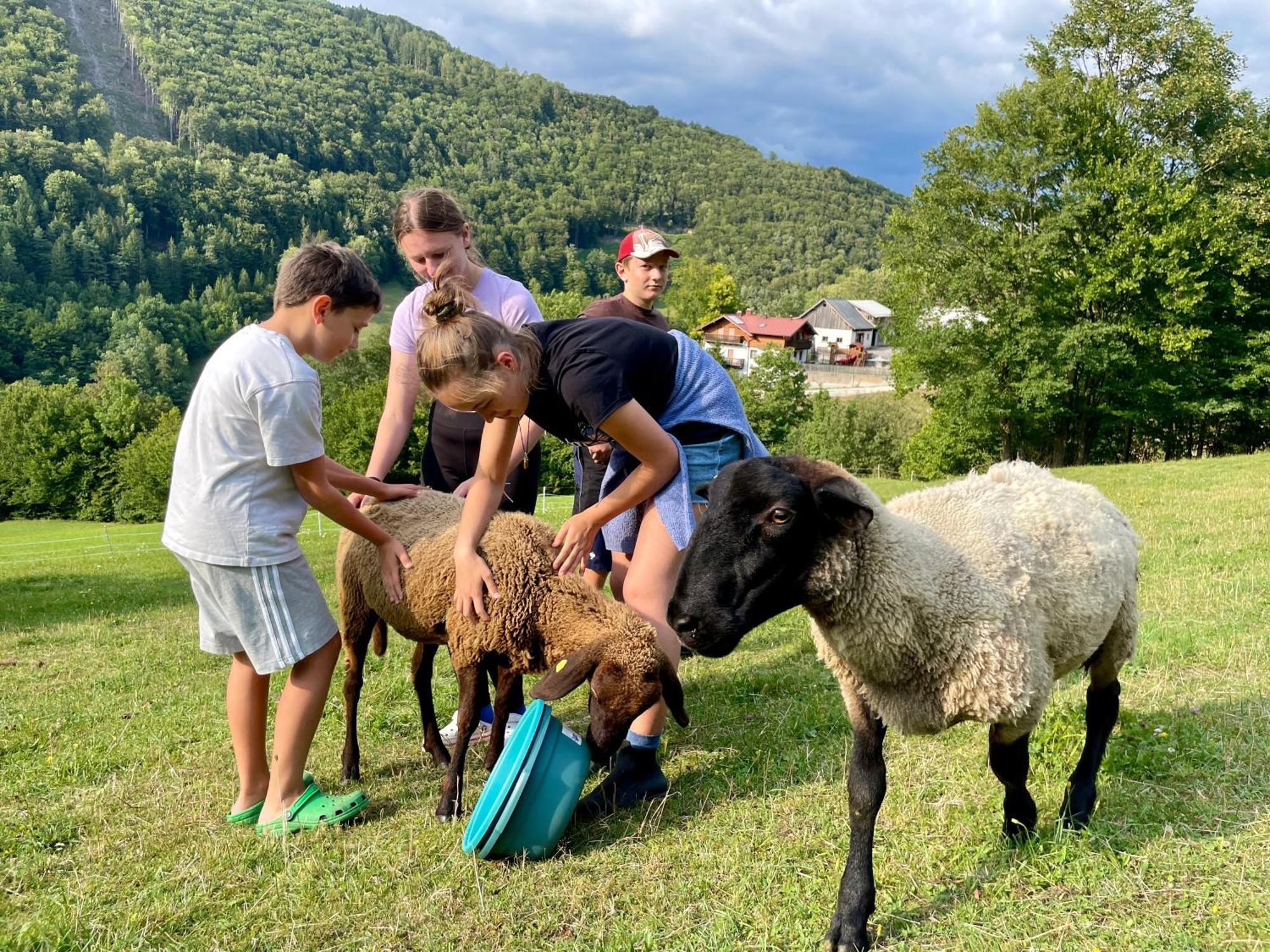 Buechlhof - App. Himmelalm Lägenhet Lilienfeld Exteriör bild